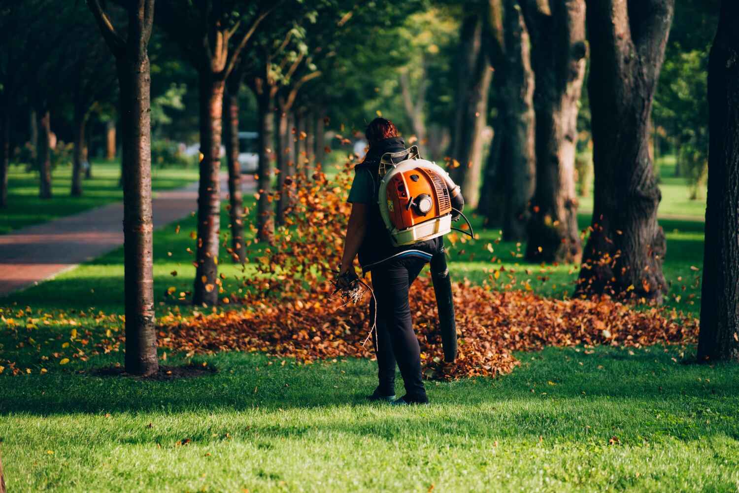 Best Professional Tree Care  in Splendora, TX